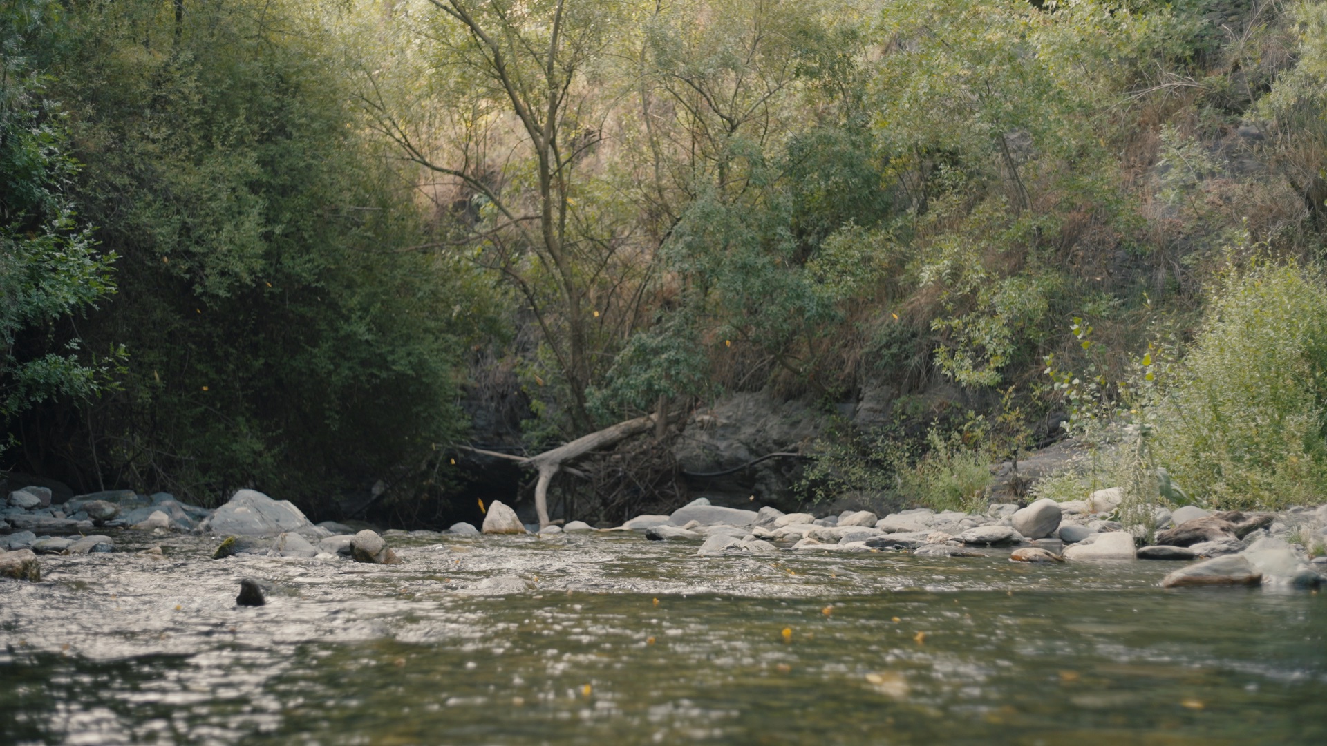 carloscuervo_ArriFilmLab_9.T